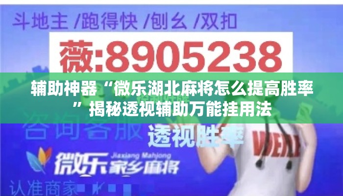 辅助神器“微乐湖北麻将怎么提高胜率”揭秘透视辅助万能挂用法