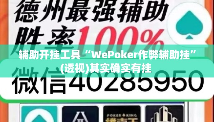 辅助开挂工具“WePoker作弊辅助挂	”(透视)其实确实有挂 