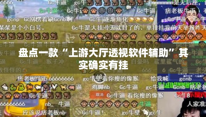 盘点一款“上游大厅透视软件辅助”其实确实有挂