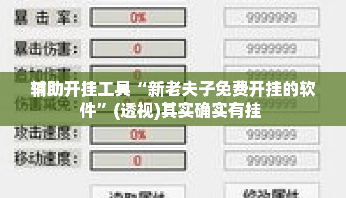 辅助开挂工具“新老夫子免费开挂的软件”(透视)其实确实有挂 