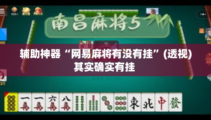 辅助神器“网易麻将有没有挂”(透视)其实确实有挂 