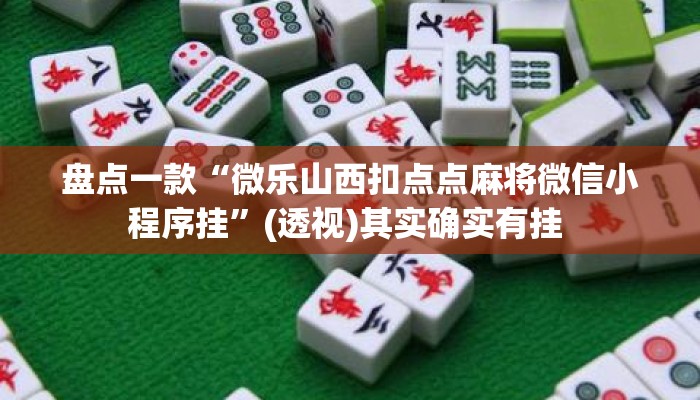 盘点一款“微乐山西扣点点麻将微信小程序挂	”(透视)其实确实有挂 