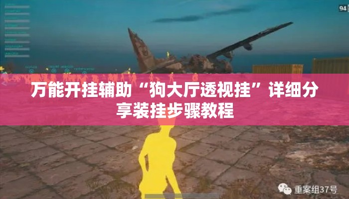 万能开挂辅助“狗大厅透视挂”详细分享装挂步骤教程