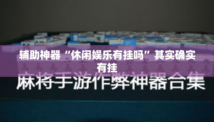 辅助神器“休闲娱乐有挂吗”其实确实有挂
