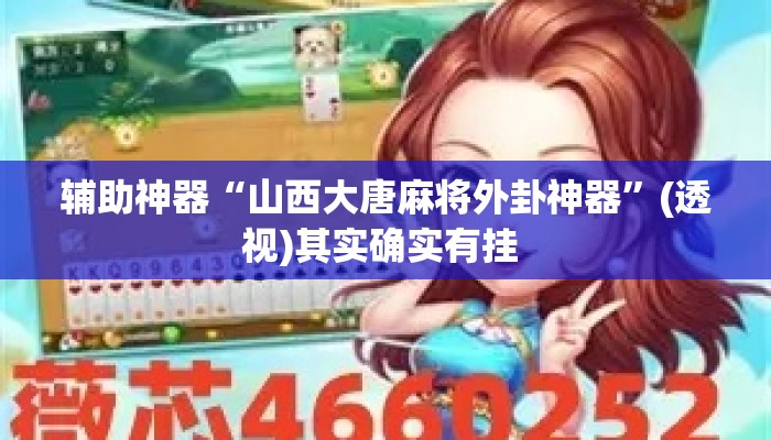 辅助神器“山西大唐麻将外卦神器	”(透视)其实确实有挂 
