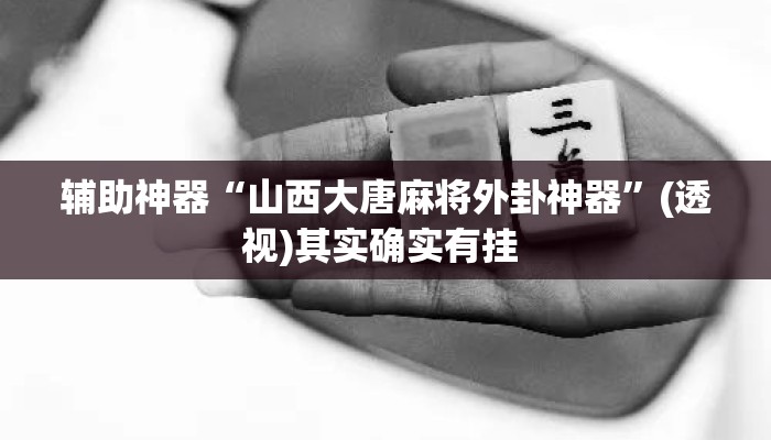 辅助神器“山西大唐麻将外卦神器	”(透视)其实确实有挂 