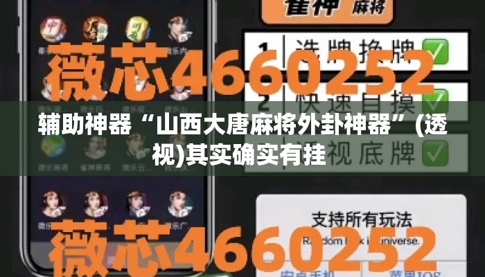 辅助神器“山西大唐麻将外卦神器”(透视)其实确实有挂 
