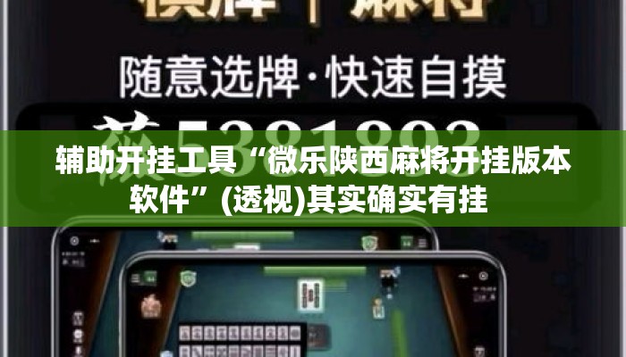 辅助开挂工具“微乐陕西麻将开挂版本软件”(透视)其实确实有挂 