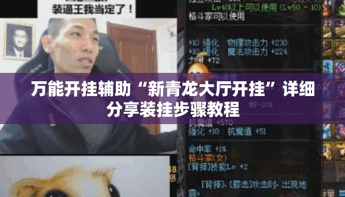 万能开挂辅助“新青龙大厅开挂	”详细分享装挂步骤教程