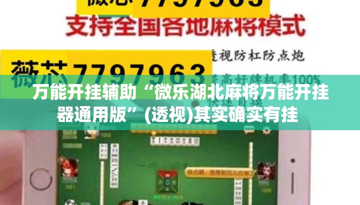 万能开挂辅助“微乐湖北麻将万能开挂器通用版”(透视)其实确实有挂 