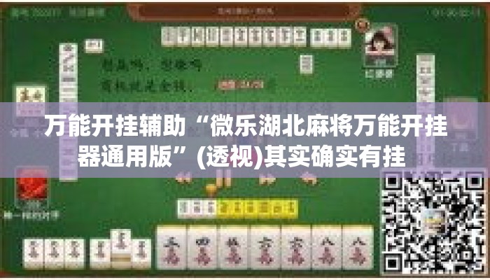 万能开挂辅助“微乐湖北麻将万能开挂器通用版”(透视)其实确实有挂 