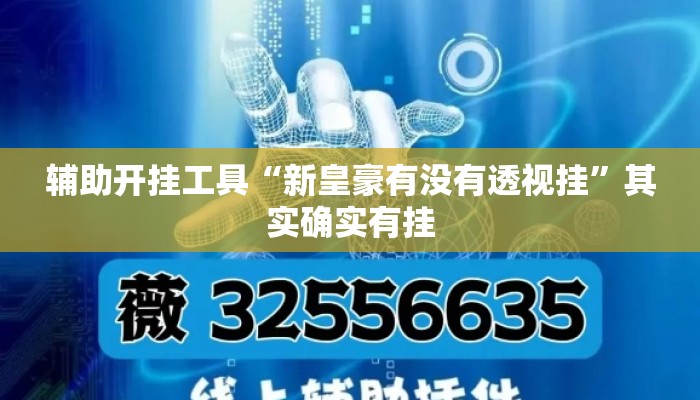 辅助开挂工具“新皇豪有没有透视挂	”其实确实有挂