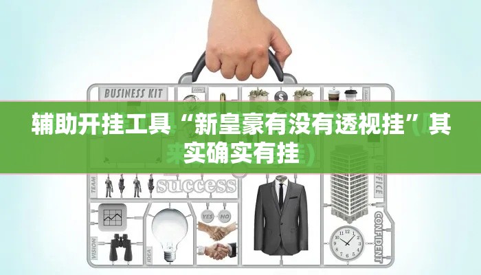 辅助开挂工具“新皇豪有没有透视挂”其实确实有挂