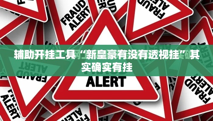 辅助开挂工具“新皇豪有没有透视挂”其实确实有挂