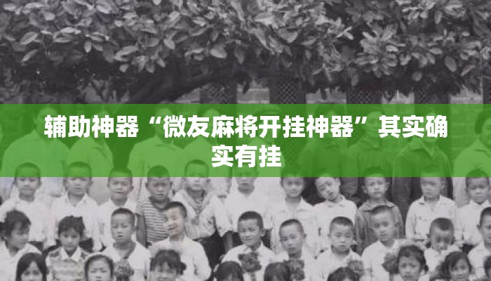 辅助神器“微友麻将开挂神器”其实确实有挂