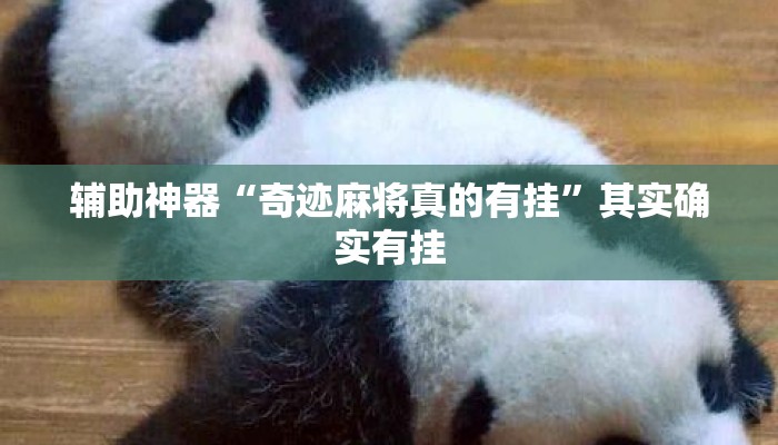 辅助神器“奇迹麻将真的有挂	”其实确实有挂