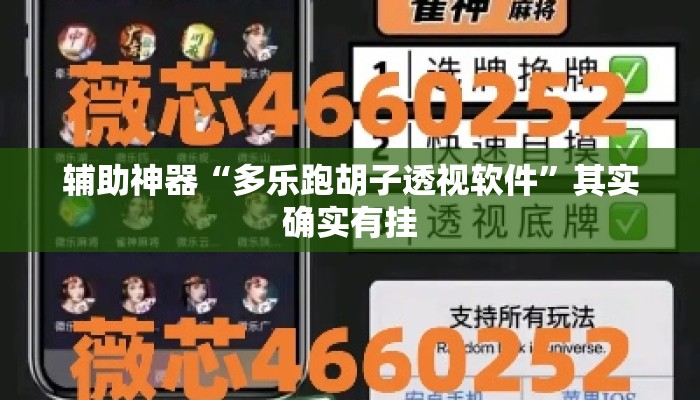 辅助神器“多乐跑胡子透视软件”其实确实有挂