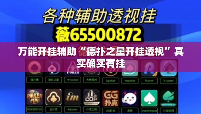 万能开挂辅助“德扑之星开挂透视”其实确实有挂