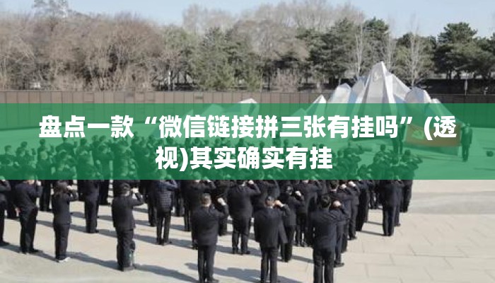 盘点一款“微信链接拼三张有挂吗”(透视)其实确实有挂 