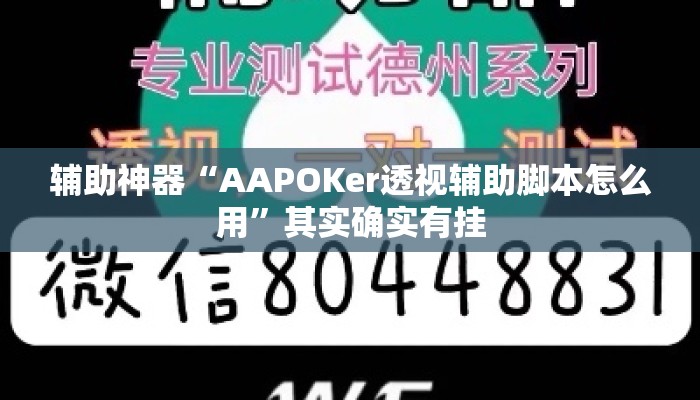辅助神器“AAPOKer透视辅助脚本怎么用	”其实确实有挂