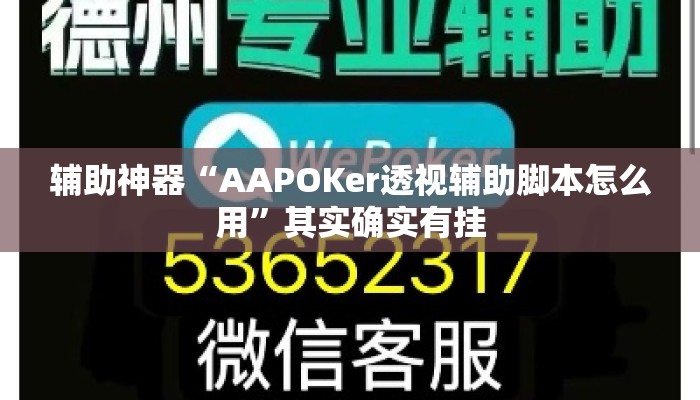 辅助神器“AAPOKer透视辅助脚本怎么用”其实确实有挂