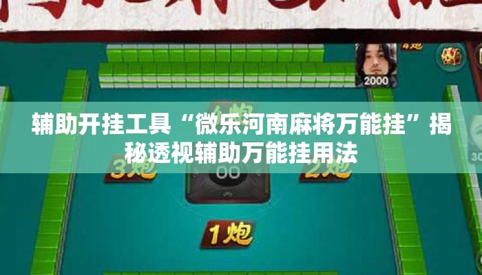 辅助开挂工具“微乐河南麻将万能挂	”揭秘透视辅助万能挂用法