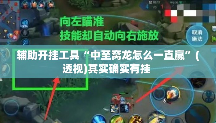 辅助开挂工具“中至窝龙怎么一直赢”(透视)其实确实有挂 