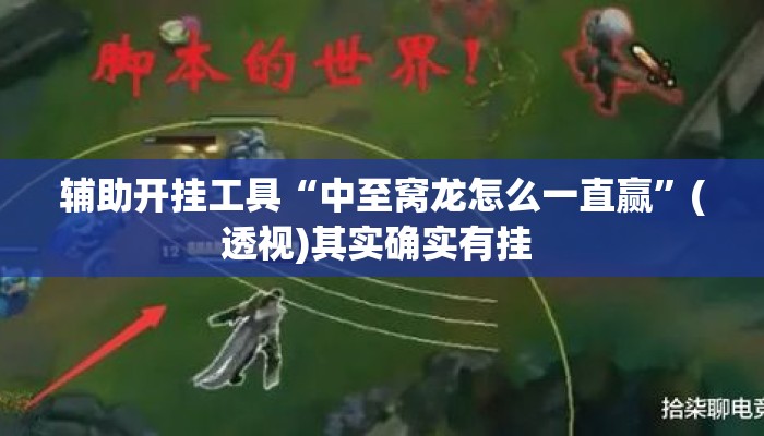 辅助开挂工具“中至窝龙怎么一直赢”(透视)其实确实有挂 