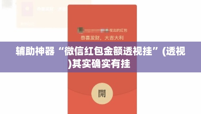 辅助神器“微信红包金额透视挂”(透视)其实确实有挂 