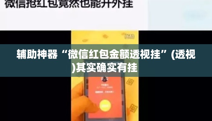 辅助神器“微信红包金额透视挂”(透视)其实确实有挂 