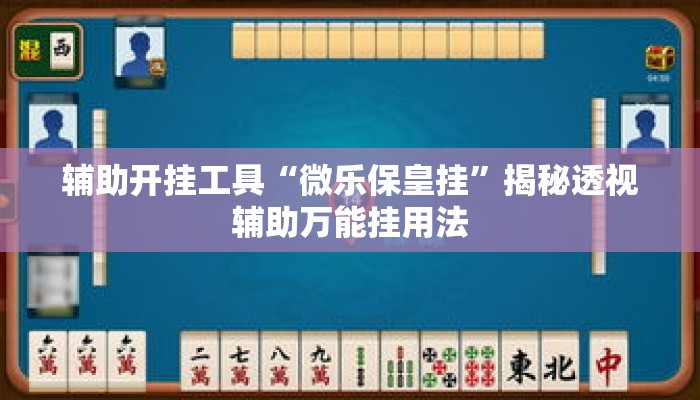辅助开挂工具“微乐保皇挂”揭秘透视辅助万能挂用法