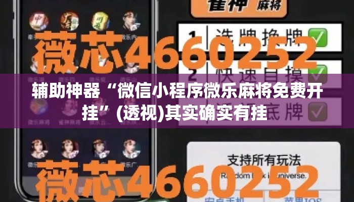 辅助神器“微信小程序微乐麻将免费开挂”(透视)其实确实有挂 