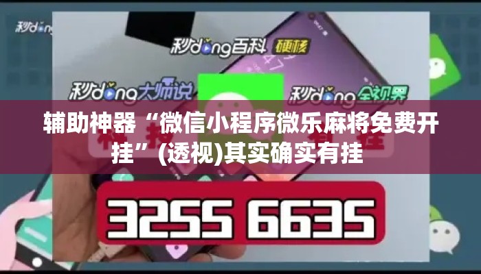 辅助神器“微信小程序微乐麻将免费开挂”(透视)其实确实有挂 