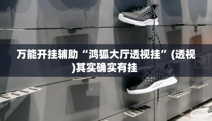 万能开挂辅助“鸿狐大厅透视挂”(透视)其实确实有挂 
