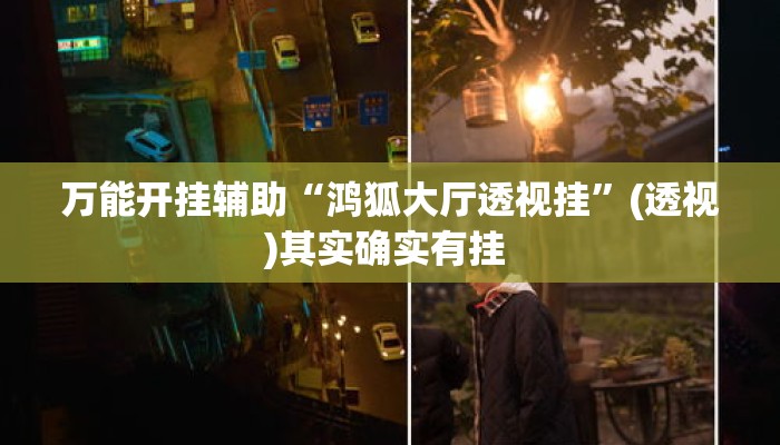 万能开挂辅助“鸿狐大厅透视挂”(透视)其实确实有挂 