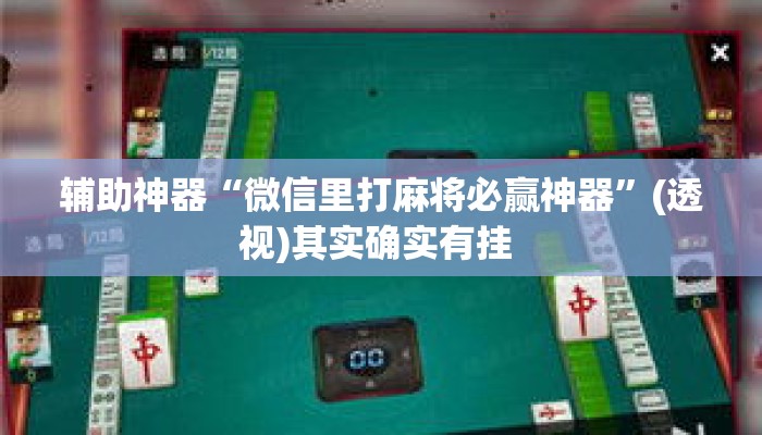 辅助神器“微信里打麻将必赢神器	”(透视)其实确实有挂 