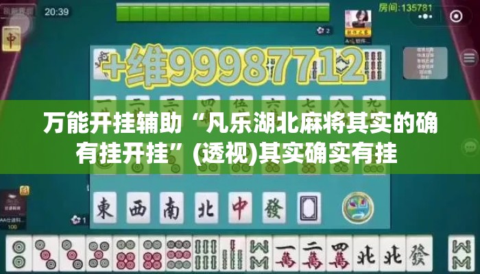 万能开挂辅助“凡乐湖北麻将其实的确有挂开挂	”(透视)其实确实有挂 