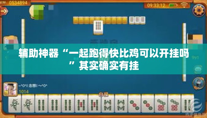 辅助神器“一起跑得快比鸡可以开挂吗”其实确实有挂