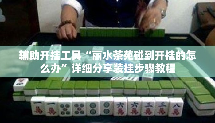 辅助开挂工具“丽水茶苑碰到开挂的怎么办”详细分享装挂步骤教程