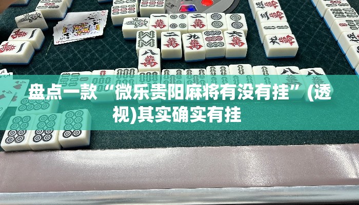 盘点一款“微乐贵阳麻将有没有挂	”(透视)其实确实有挂 