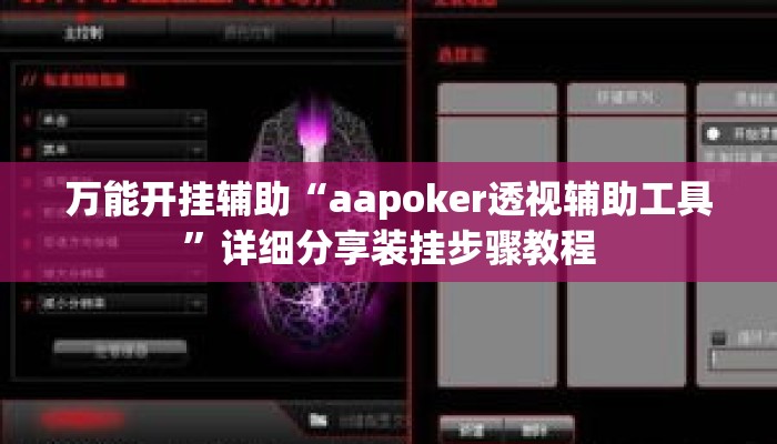 万能开挂辅助“aapoker透视辅助工具	”详细分享装挂步骤教程
