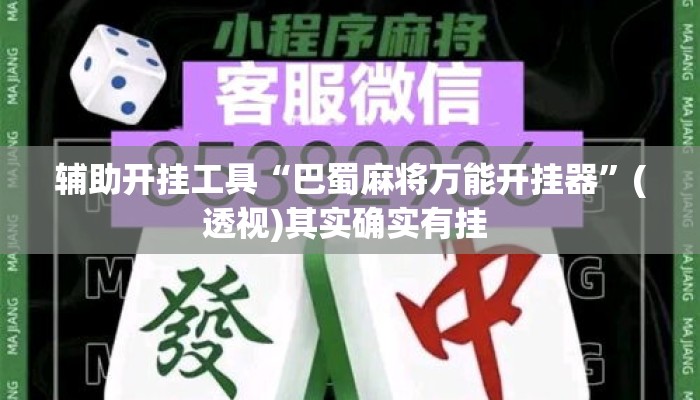 辅助开挂工具“巴蜀麻将万能开挂器”(透视)其实确实有挂 