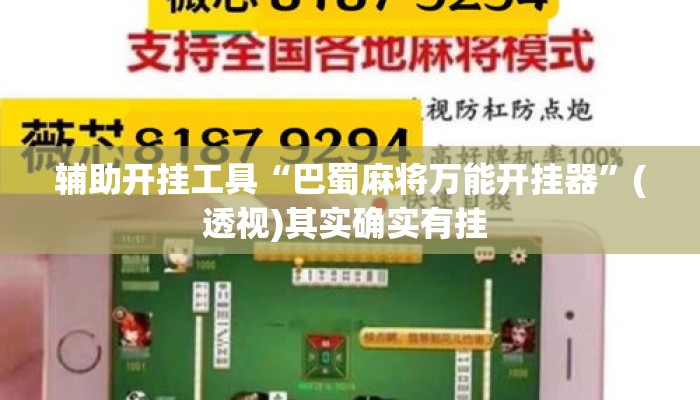 辅助开挂工具“巴蜀麻将万能开挂器	”(透视)其实确实有挂 