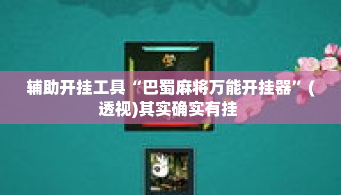 辅助开挂工具“巴蜀麻将万能开挂器”(透视)其实确实有挂 