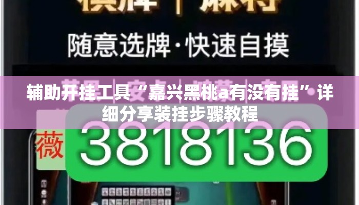 辅助开挂工具“嘉兴黑桃a有没有挂”详细分享装挂步骤教程