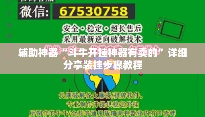 辅助神器“斗牛开挂神器有卖的”详细分享装挂步骤教程