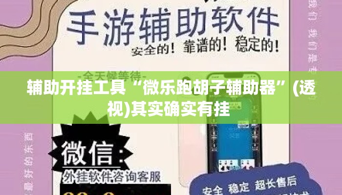 辅助开挂工具“微乐跑胡子辅助器	”(透视)其实确实有挂 