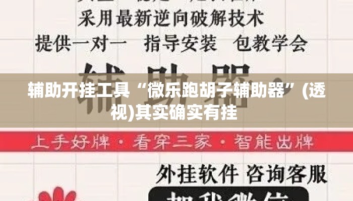 辅助开挂工具“微乐跑胡子辅助器”(透视)其实确实有挂 