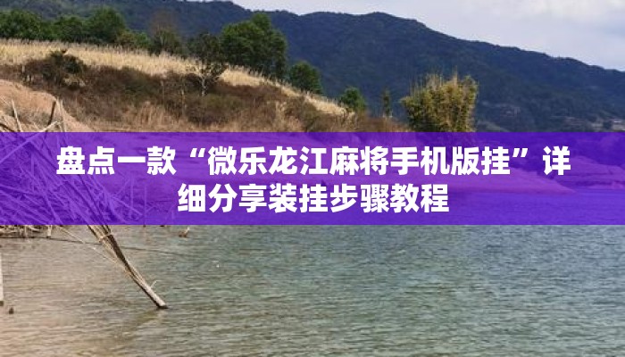 盘点一款“微乐龙江麻将手机版挂”详细分享装挂步骤教程