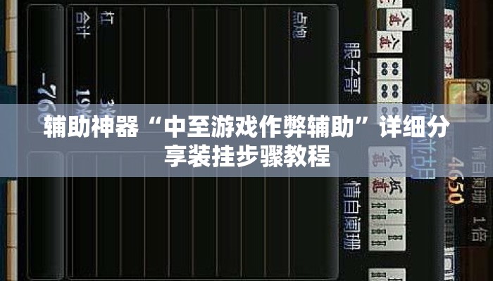 辅助神器“中至游戏作弊辅助”详细分享装挂步骤教程